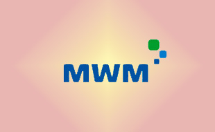 ✓ MWM 0306 0544 Запчасть MWM 